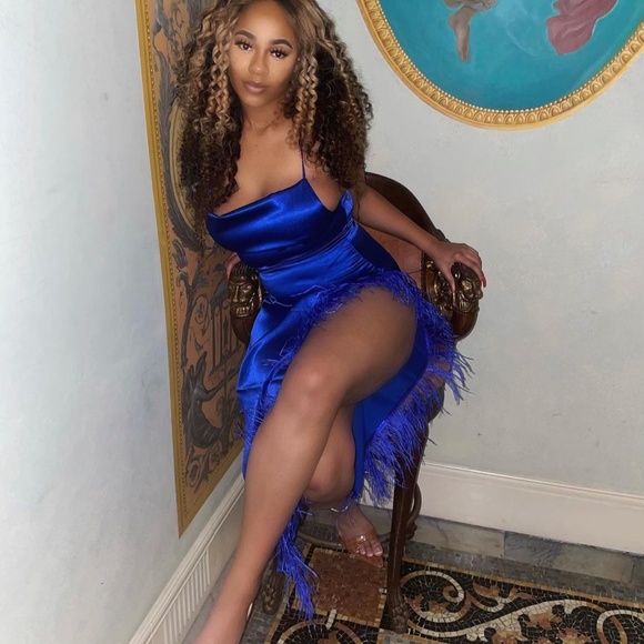 Nichole Lynel Va Va Voom Feather Dress - Picture 5 of 5